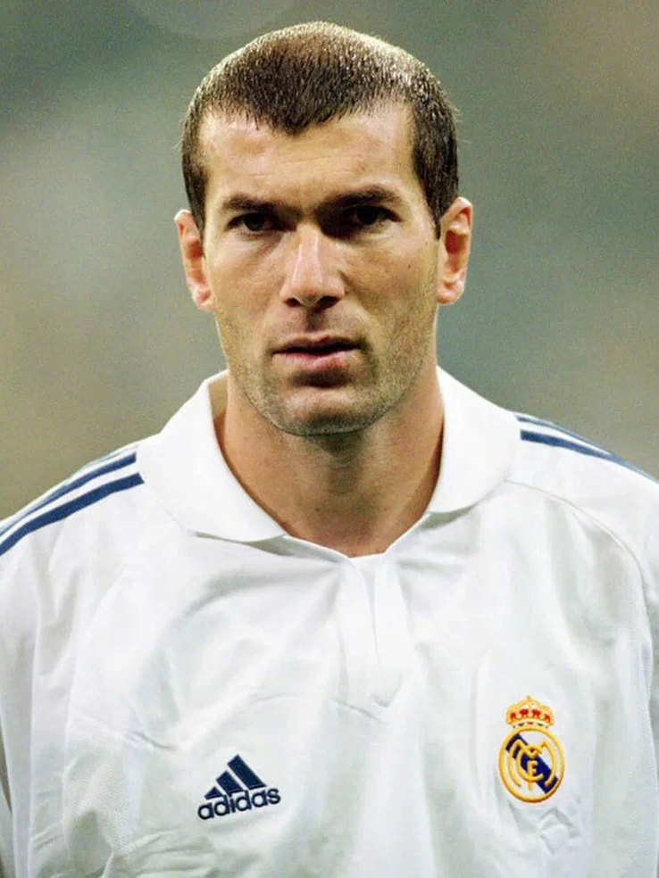 Дополнительная фотография №2 Зидан Зинедин Язид