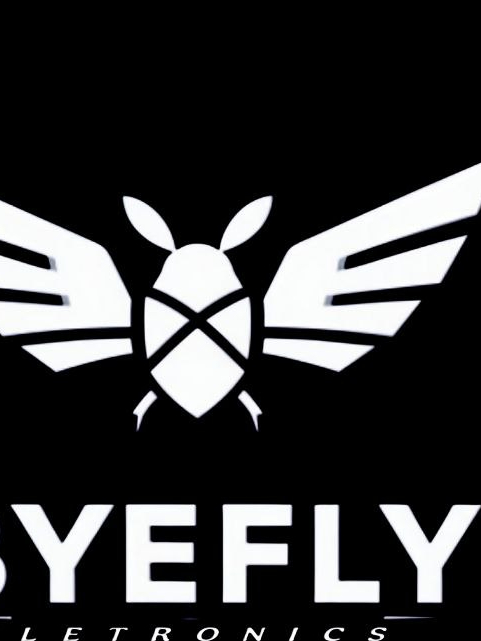 Byefly Electronics 